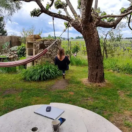 度假居 Maison 15pers Pres St Emilion-tout Confort-piscine