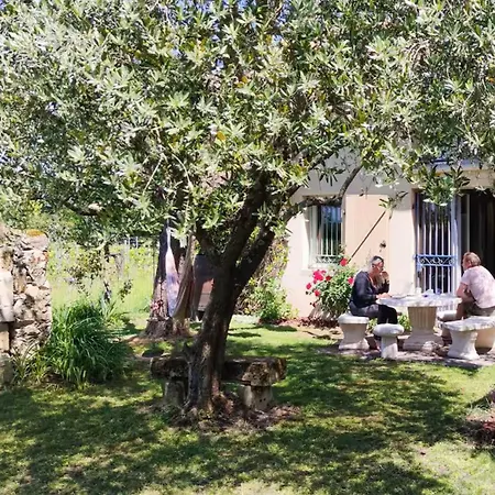 Vakantiehuis Maison Familiale 15pers Avec Piscine Couverte - Jardin Prive *