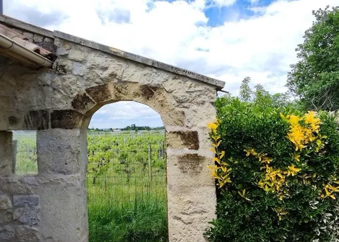 Dom wakacyjny Maison 15pers Pres St Emilion-tout Confort-piscine