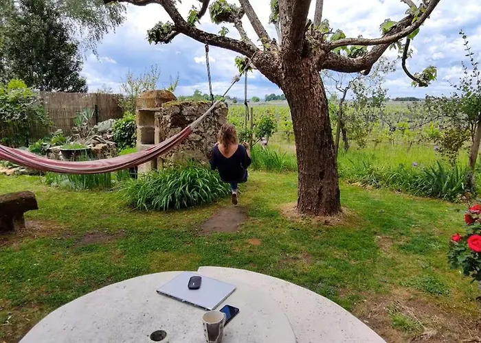 Dom wakacyjny Maison 15pers Pres St Emilion-tout Confort-piscine