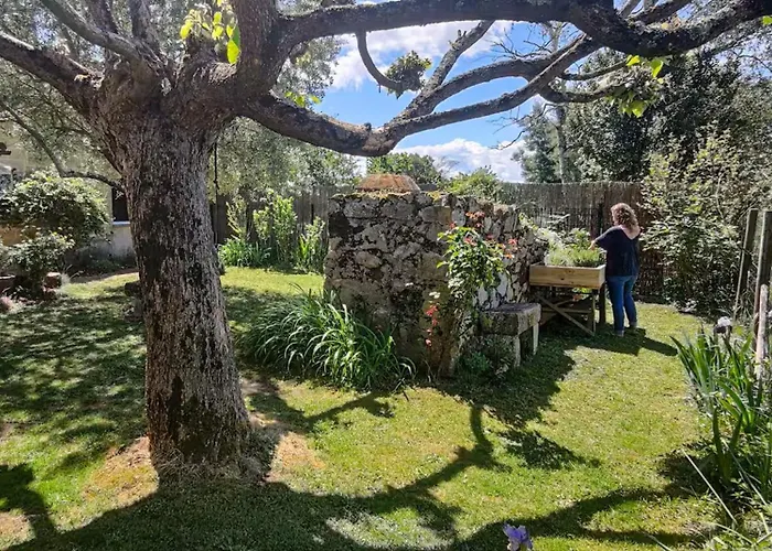 Dom wakacyjny Maison 15pers Pres St Emilion-tout Confort-piscine *