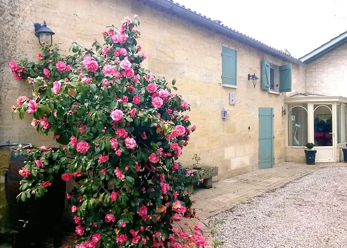 Maison 15pers Pres St Emilion-tout Confort-piscine * Saint-Magne-de-Castillon